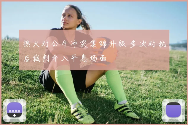 热火对公牛冲突集锦升级 多次对抗后裁判介入平息场面