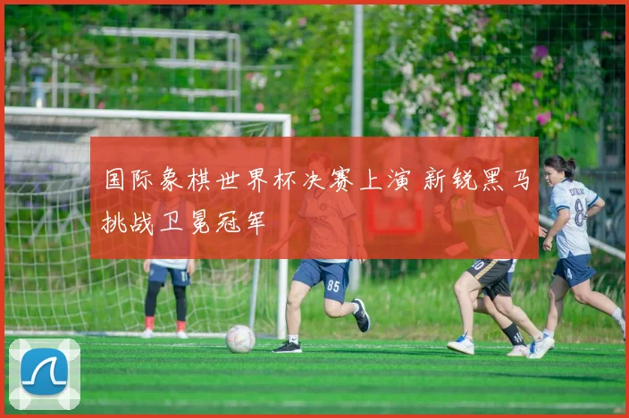 国际象棋世界杯决赛上演 新锐黑马挑战卫冕冠军